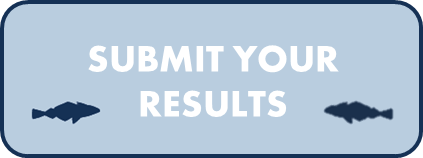 Submit results button