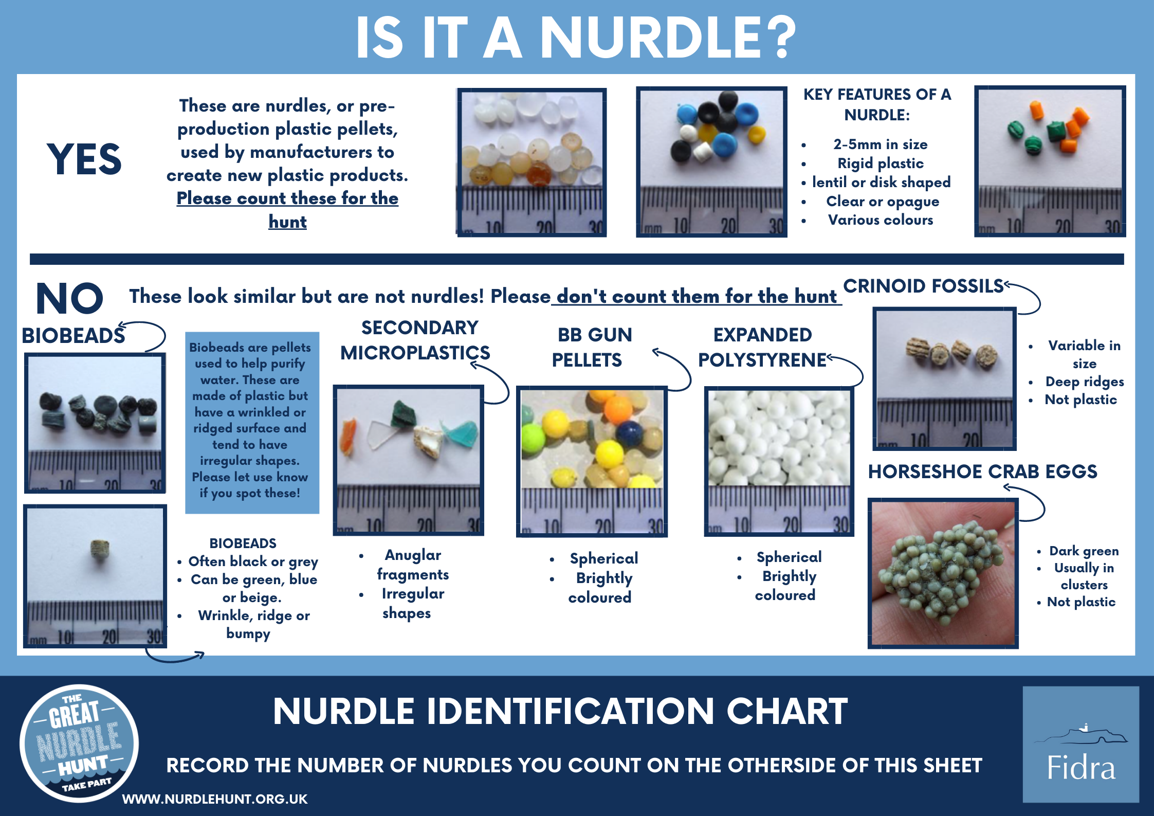 Nurdle ID Sheet