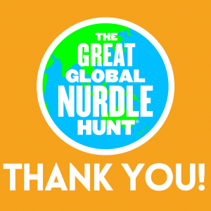 More nurdles found than ever before - The 2022 Great Global Nurdle Hunt Results
