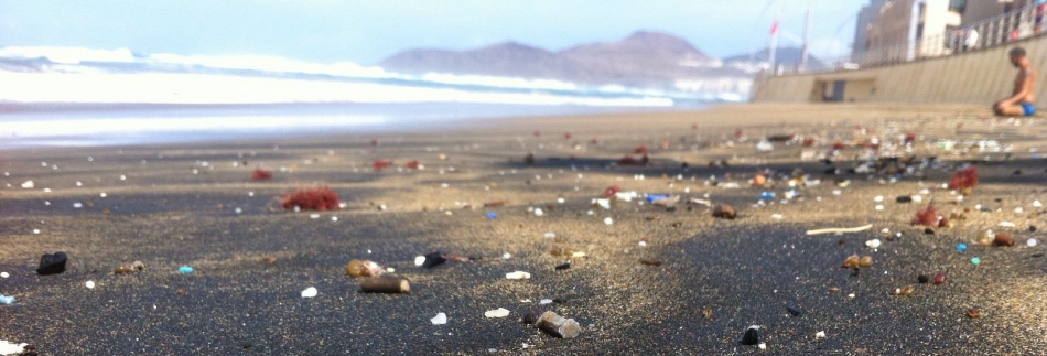 Pellets among other microplastics on Playa Las Canteras, Las Palmas, Gran Canaria